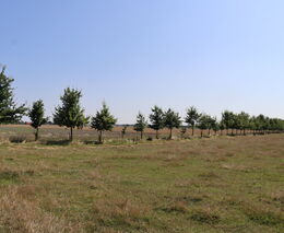 Asociace nesouhlasí s odčerpáváním financí z celofaremní ekoplatby 