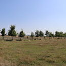 Pozvánka na exkurzi „Příklady realizace krajinných prvků“