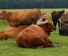 Prodeje na farmách jedou. Vejce za 12 Kč i prémiové steaky jdou na dračku