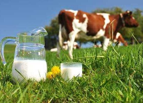 Rodinná farma Tomášovi