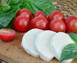 Pro děti pečou sýrový chleba, vaří sirupy a vyrábějí mozzarellu. Tak může vypadat kuchyně ve školce