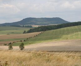 Pestrá krajina 2021 – videopozvánka na konferenci a slavnostní ocenění farem 