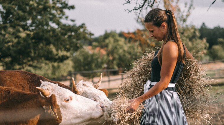 Na více než 350 let staré farmě nakoupíte bio mléko i sýrový dort