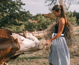 Na více než 350 let staré farmě nakoupíte bio mléko i sýrový dort