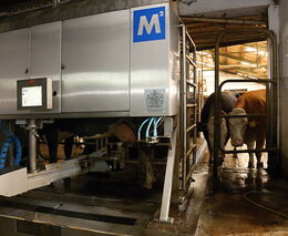 Zemědělci mohou do 12. září žádat o investiční dotace, rozdělí se 8,3 mld. Kč 