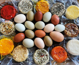 Značka JESENÍKY originální produkt posouvá hranice, nově certifikovala hamburgery i kočičí stromy