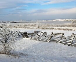 Krásné Vánoce a vše nejlepší do roku 2025!