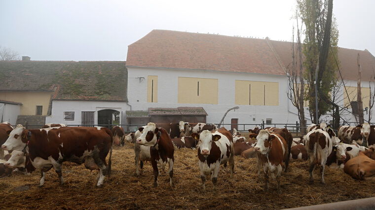 Nový klientský portál usnadní od července zemědělcům, potravinářům či myslivcům komunikaci se SVS