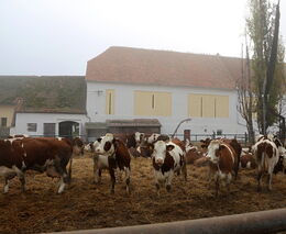 Nový klientský portál usnadní od července zemědělcům, potravinářům či myslivcům komunikaci se SVS