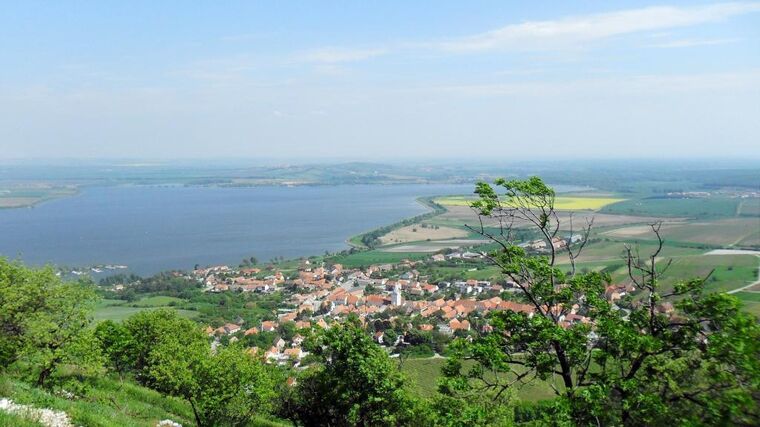 Ochranáři chtějí na Pálavu vrátit tzv. nízký les