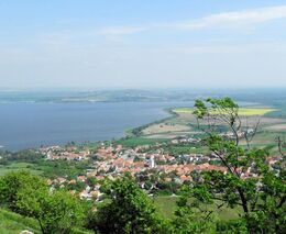 Ochranáři chtějí na Pálavu vrátit tzv. nízký les