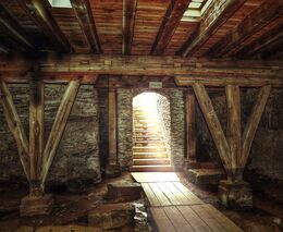 Vědci chtějí vdechnout starým trámům nový život