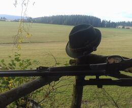 K návrhům změn v zákonu o myslivosti