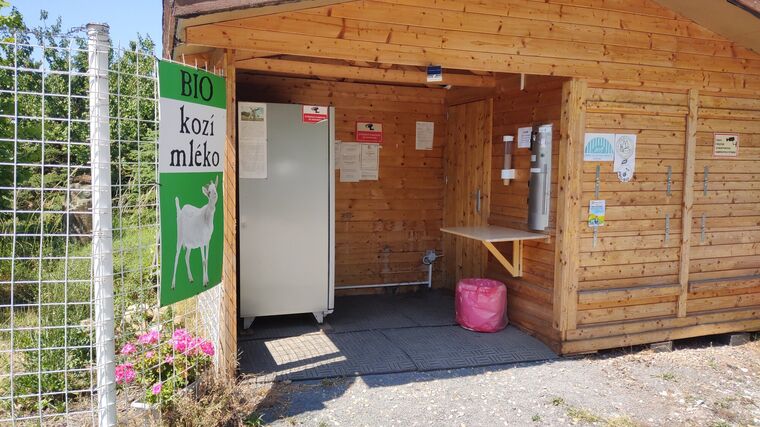 Mlékomaty zažívají v Česku renesanci. Zákazníky lákají cenou i kvalitou