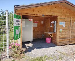 Mlékomaty zažívají v Česku renesanci. Zákazníky lákají cenou i kvalitou