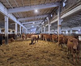 Týden v zemědělství podle Petra Havla - č. 10