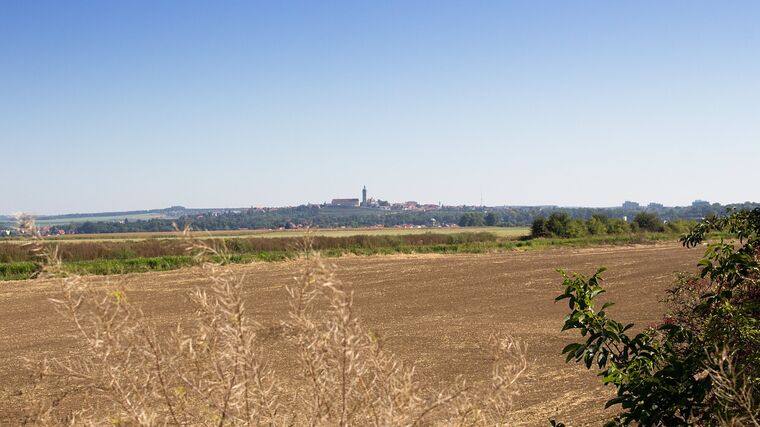 Pronajmout si půdu od církve není jednoduché, biskupství si zemědělce vybírá 