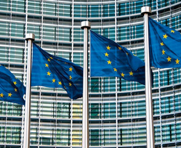 Uršulo, jsme tady. Zemědělci protestují před Evropským parlamentem, Brusel je v plamenech