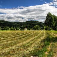 Studie: Zimní srážky pomáhají zmírňovat dopady sucha v nížinách víc než v horách