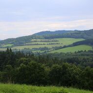 MZe připravilo nový program pro vlastníky lesů. Umožní jim sdružovat se do spolků 