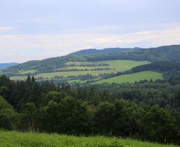 Iniciativa Vědci pro les: Připomínky k novele lesního zákona