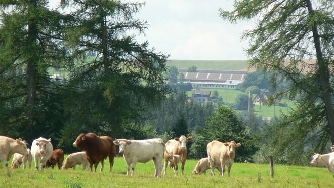 Biofarma pod Hájkem
