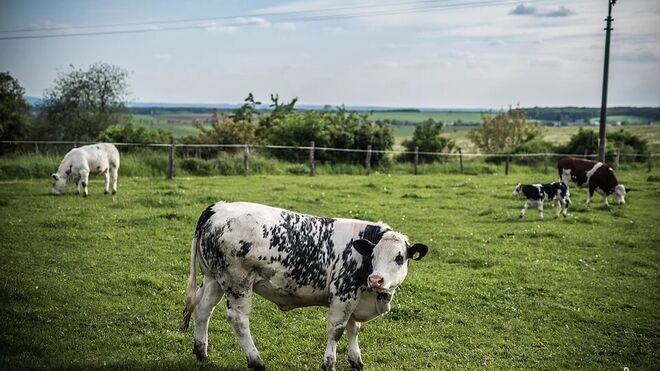 Naše hospodářství