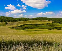 Soud na Slovensku nepravomocně odsoudil bývalou poslankyni za podvod s dotacemi 