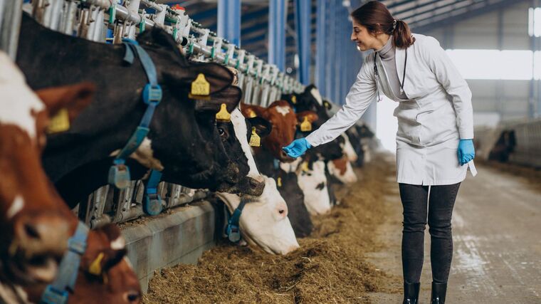 Na ČZU by mohl vzniknout magisterský program pro veterinární lékařství 