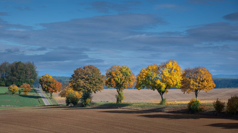 Nový český robot výrazně pomůže zemědělcům