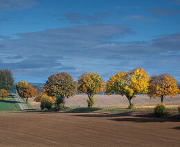 Nový český robot výrazně pomůže zemědělcům