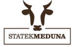 Statek Meduna
