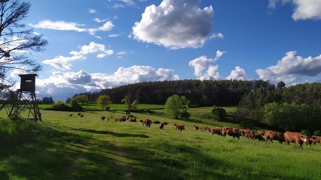 Farma Kunclův Mlýn