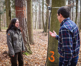 LDF zahájila v lesích MENDELU unikátní sběr dat o fungování lesních ekosystémů