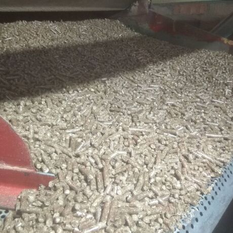 Granulované cukrové řízky