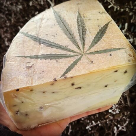 Michal Hrdlička - Sýry Brníčko