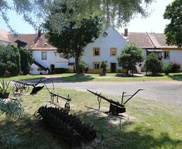 ASZ ČR: Audit k prokazování statutu aktivního zemědělce hrozí až čtyřem tisícům zemědělců 