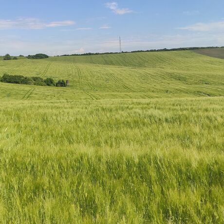 Rodinná farma Rotrekl