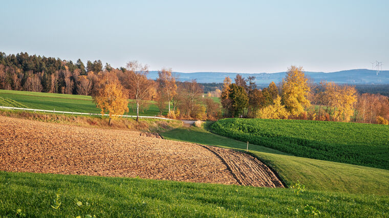Týden v zemědělství podle Petra Havla – č. 41