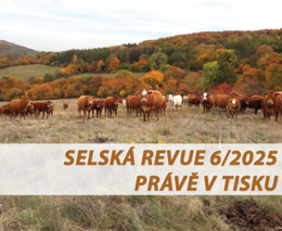 Selská revue č. 6/2025 je již v tisku 