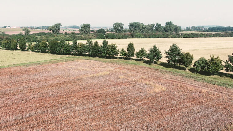 Rodinná farma na Nymbursku zahájí jarní práce o něco dříve než loni 