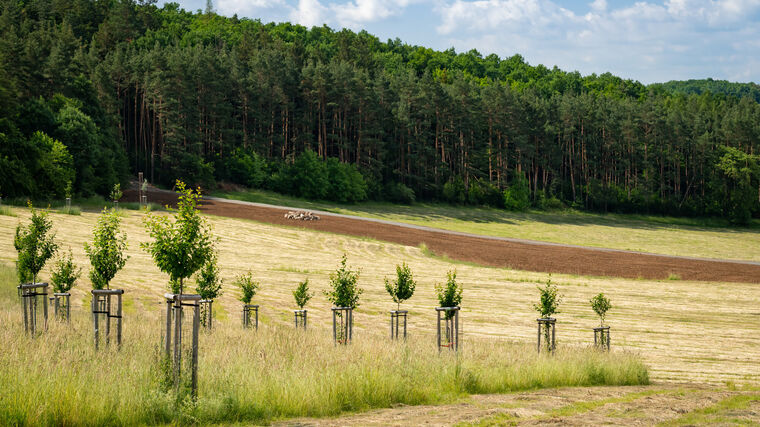 18 míst, kde jsou připraveni na klimatickou změnu i energetickou krizi