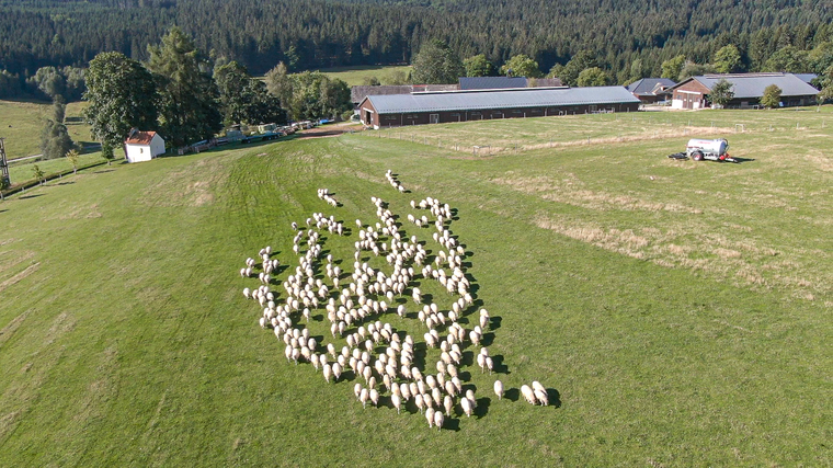 S Českou televizí na Rodinné farmě Michlovka 