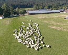 S Českou televizí na Rodinné farmě Michlovka 