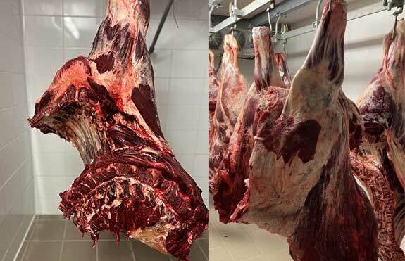 Rodinná farma Laloučkovi