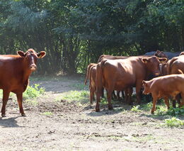 Statek Zbyslav – stříbrná medaile v programu Pestrá krajina 2025