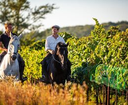 ČT uvede nový cestopis Českem na koňském hřbetu. Protagonisty jsou bratři Krausovi z ASZ Příbram