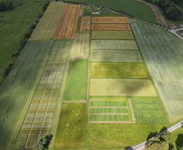 Zemědělci si stěžují na nefunkčnost kontrolního portálu AMS