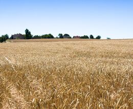 Výborný: Rusko ostřeluje ukrajinské přístavy, obilí musíme kamiony a vlaky dostat do přístavů