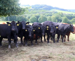 Nejen o růstu cen masa se členy Asociace v Událostech v regionech